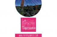 I Concurso fotográfico “La floración del Tajinaste”. Coorganizado por Bodega Reverón