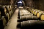 Bodegas Viñátigo ya elabora su gama de vinos clásicos bajo la protección de la DOP Islas Canarias.