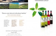 Bodegas Viñátigo ya elabora su gama de vinos clásicos bajo la protección de la DOP Islas Canarias.