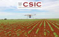 El CSIC innova en la detección temprana de malas hierbas mediante drones
