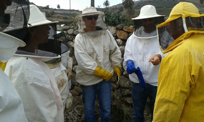 El Cabildo de Lanzarote contribuye al impulso de la apicultura en la isla