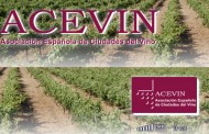 ACEVIN convoca la III Edición de los Premios de Enoturismo 