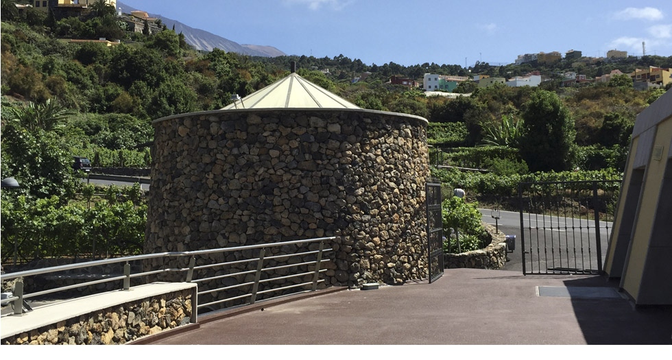 2016, año del paso paulatino de Viñátigo a la DOP Islas Canarias