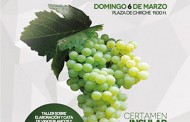 El Ayuntamiento de Guía de Isora organiza el XXVII Concurso Insular de Vinos