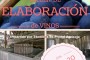 Tapas o degustación de vinos con Denominación de Origen La Palma por tan solo un euro