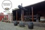 Jornadas insulares sobre el cultivo de la castaña, en La Matanza