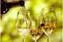 La DOP Islas Canarias profundiza en la comercialización de vinos en Canadá y Estados Unidos
