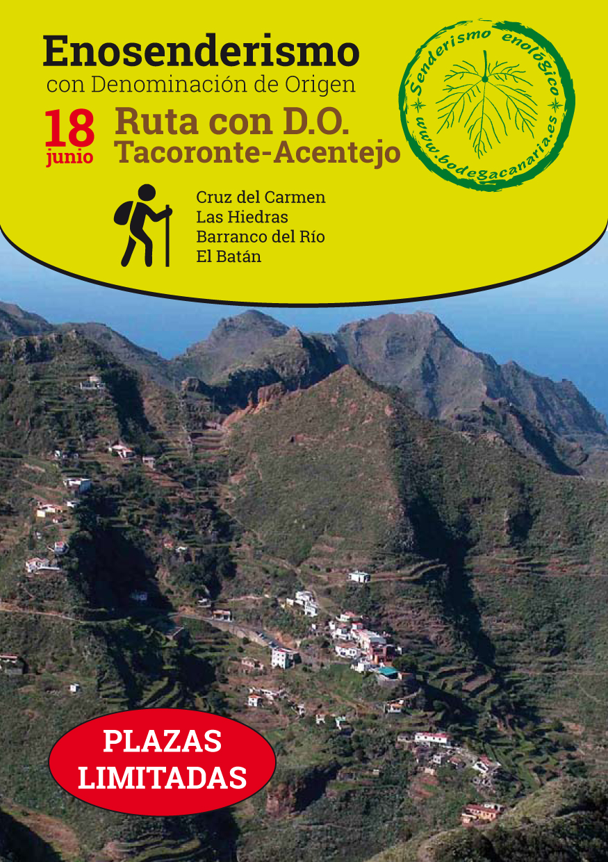 Nueva ruta de Enosenderismo con D.O. dedicada a Tacoronte-Acentejo. 18 de junio. Inscríbete