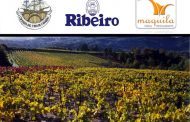 Descubrir los Ribeiro en Casa Maquila con la Cofradía del Vino de Canarias