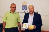 Victorino semicurado ahumado, de la DOP Queso Palmero, elegido Mejor Queso de Canarias 2016