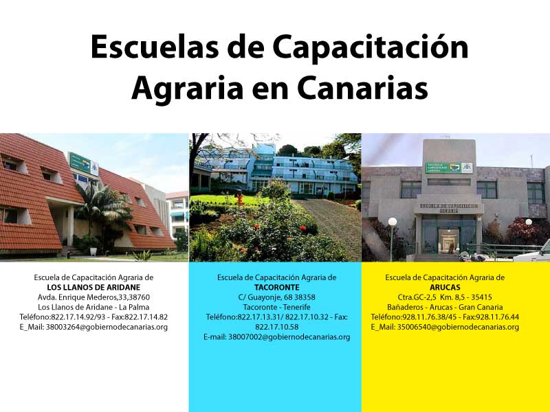 El Gobierno de Canarias incrementa los descuentos en el precio de las residencias de estudiantes de las Escuelas de Capacitación Agraria