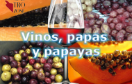 Vinos, papas y papayas. Nuevo evento del Club del Vino La Laguna en GastroZone