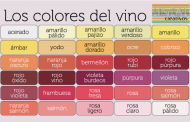 El color en el vino.