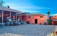 Degustación de Vinos de Tenerife del 16 al 31 de enero de 2017. Casa del Vino Tenerife