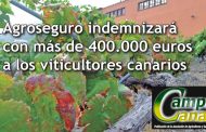 400.000 € a los viticultores canarios
