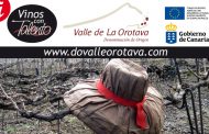 D.O.P. Valle de La Orotava, en crecimiento