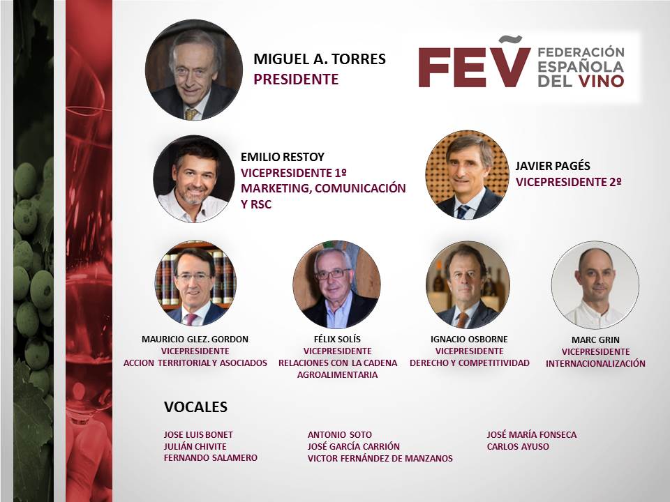 Miguel A. Torres nuevo presidente de la FEV