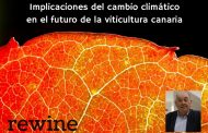 El cambio climático y el futuro de la viticultura canaria