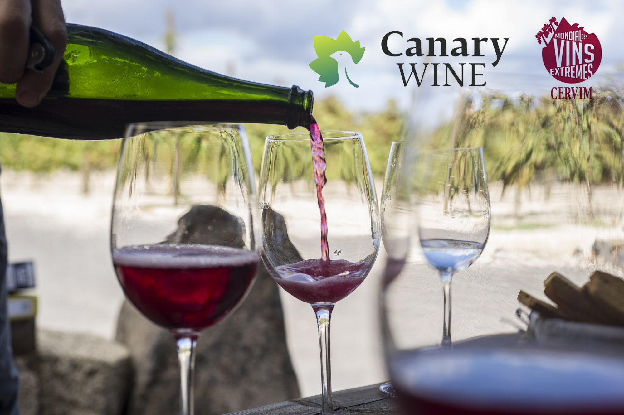 Canary Wine triunfa en el Concurso Mundial de Vinos Extremos