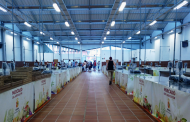 El El primer Mercado del Agricultor de Arona abre sus puertas este sábado 14 en Valle San Lorenzo
