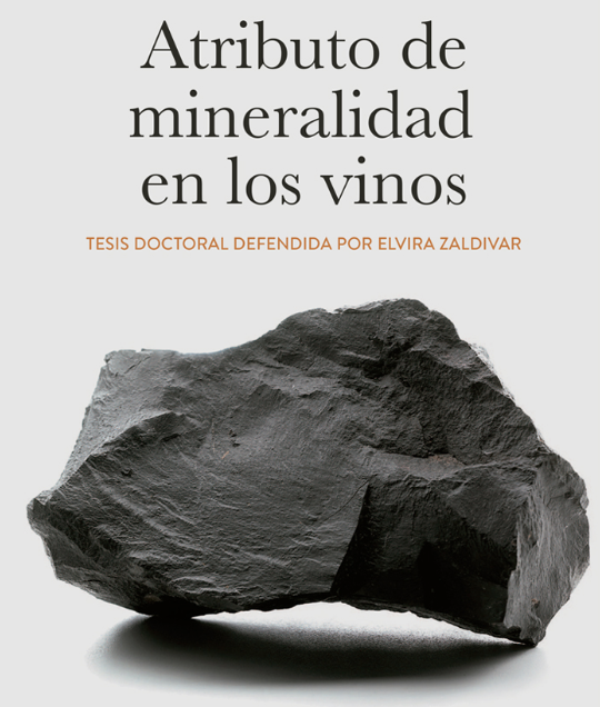 La mineralidad en los vinos