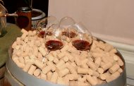 Programa de Apoyo al sector vitivinícola español