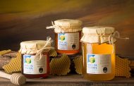 Ayudas a los productores de miel de abeja negra canaria