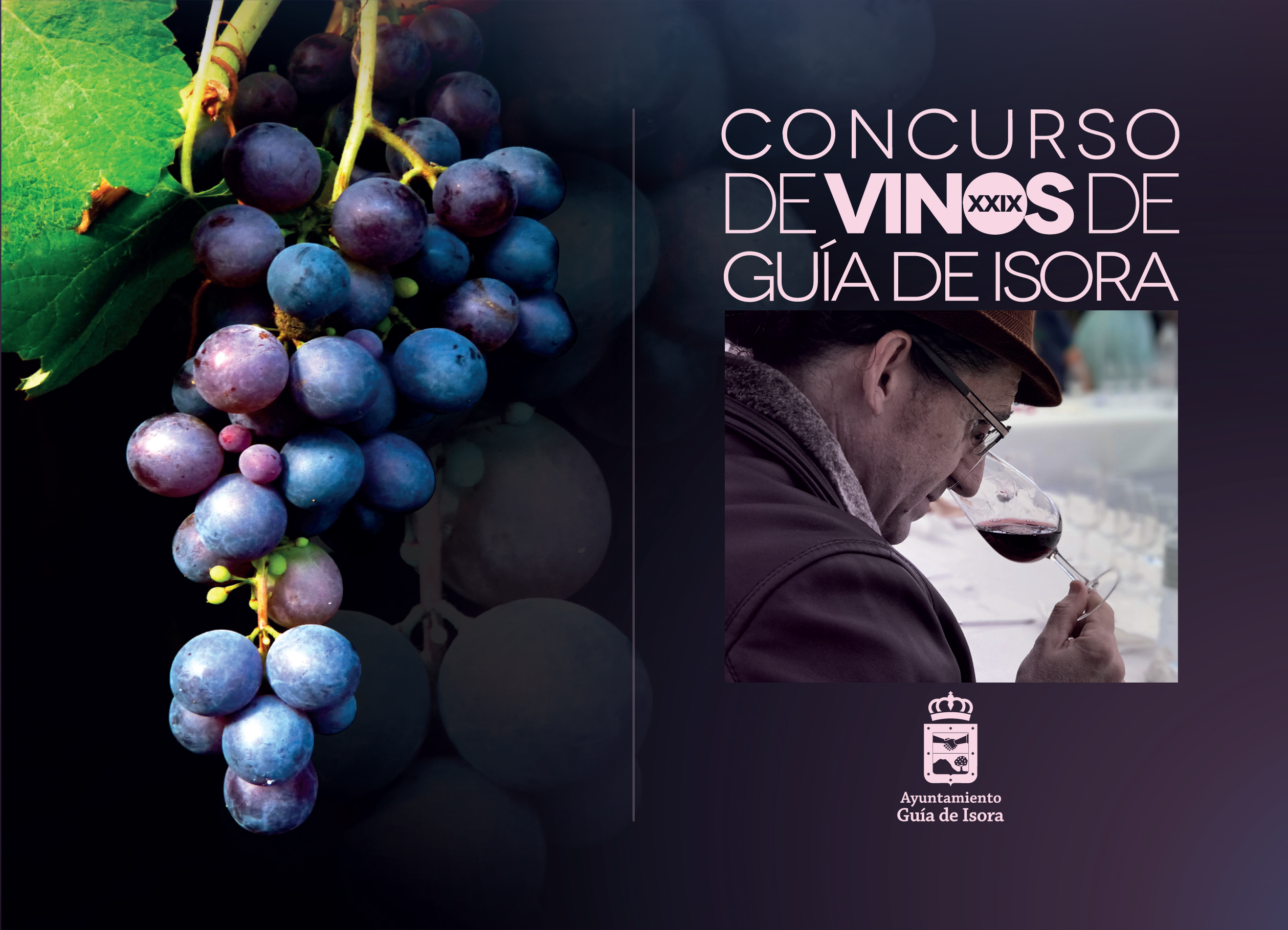 XXIX Concurso de Vinos de Guía de Isora