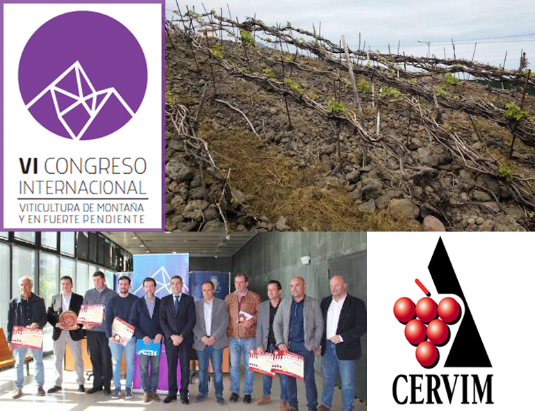 VI Congreso Internacional sobre Viticultura de Montaña