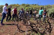 La ULL reúne a las bodegas que desarrollan enoturismo en Canarias