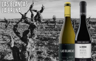 Novedades en vinos artesanales de la Vinoteca El Gusto por El Vino