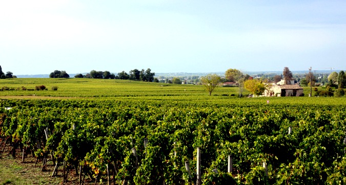 El valor del viñedo francés es nueve veces superior al español