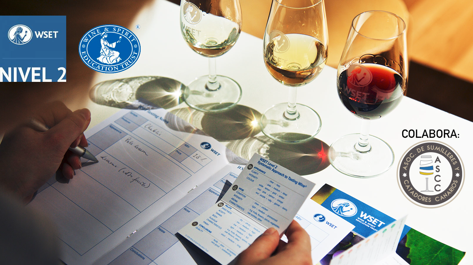 WSET, proveedor de cualificaciones de vinos y espirituosos a nivel mundial, hace escala en Tenerife con su curso de  cualificación de nivel 2