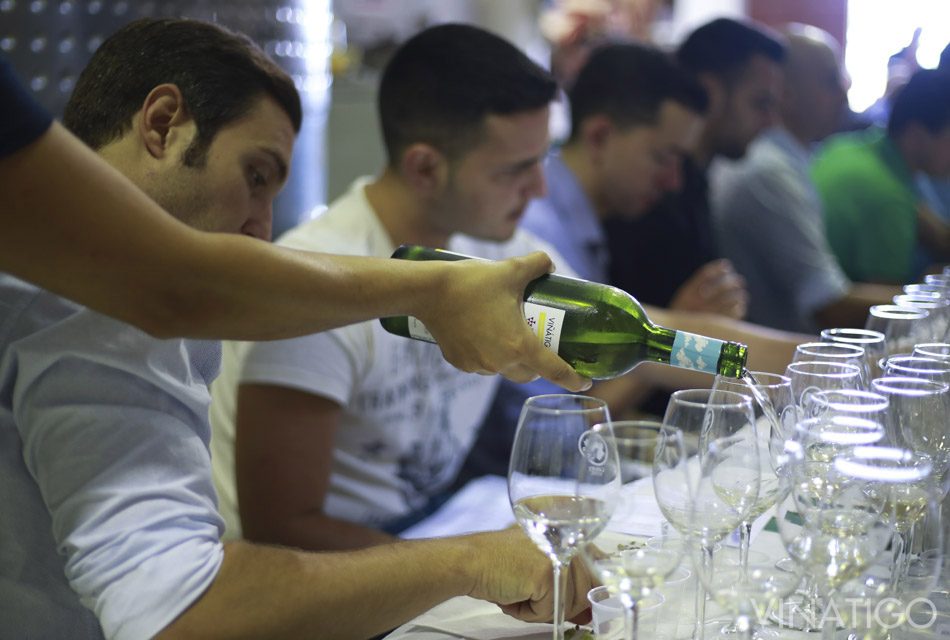 VII Master Class de Cata de Uvas y Vinos de Canarias