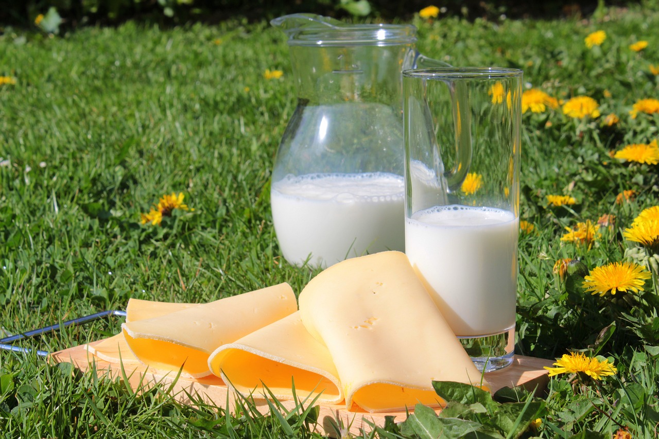 El consumo de lácteos enteros reduce la tasa de enfermedad cardiovascular