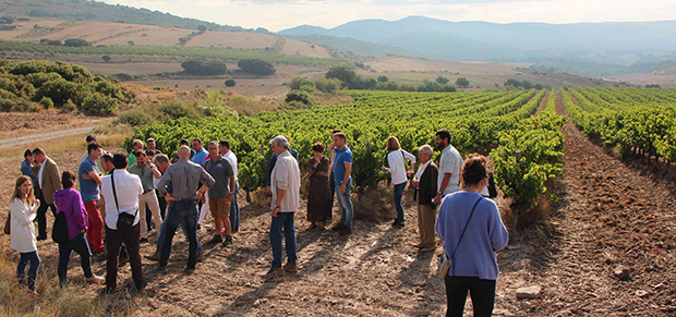 Smart Sustainable Wine Navarra