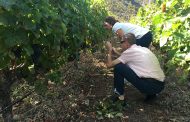 Profesores del Liceo Vitícola más antiguo de Francia, visitan a viticultores y bodegas de Tenerife