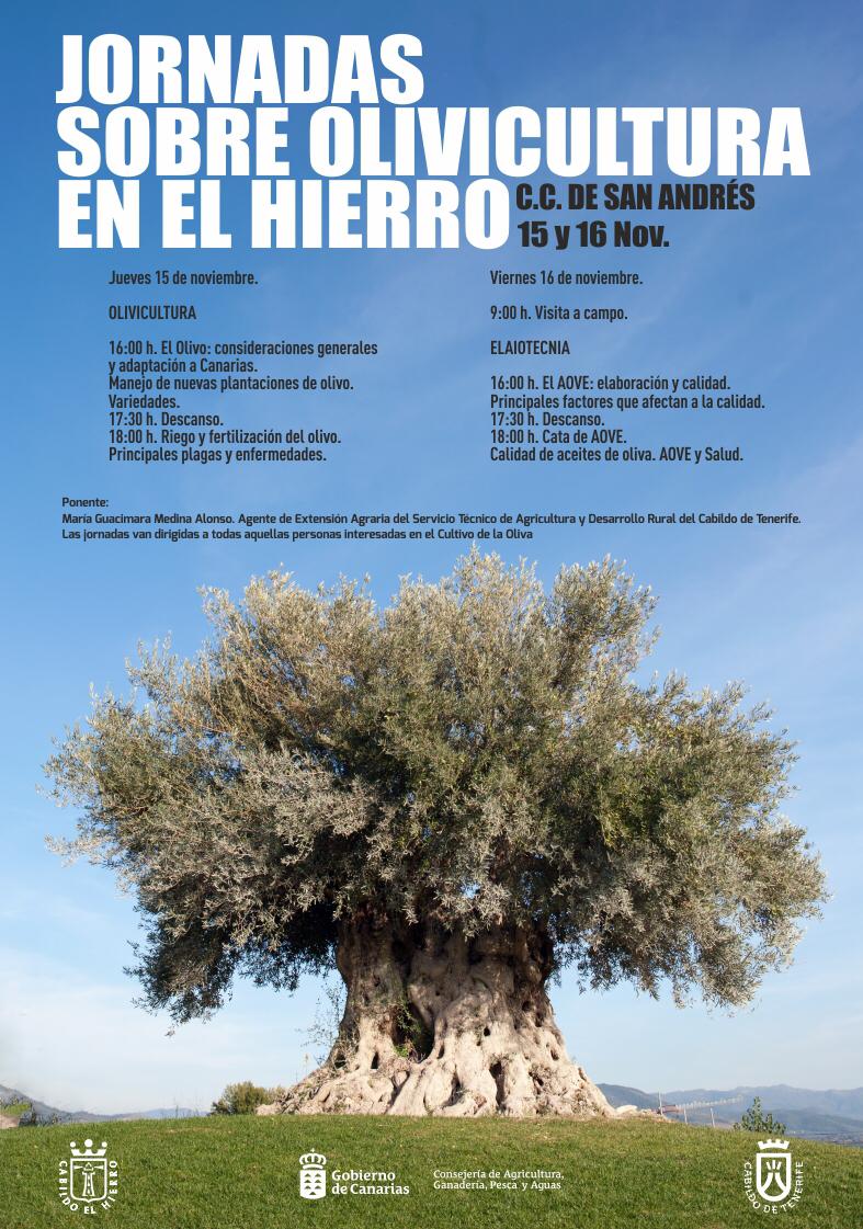 El Gobierno de Canarias y el Cabildo de El Hierro organizan unas jornadas sobre Olivicultura en la isla