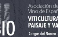 Tecnología e Innovación en la Viticultura Heroica en el XVII Simposium de la Asociación de Museos del Vino de España