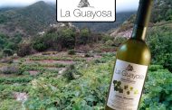 La Guayosa Blanco, el resultado épico de una viticultura intrépida