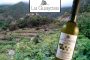 El Cabildo promocionará los productos y los vinos de Tenerife en Gastrocanarias