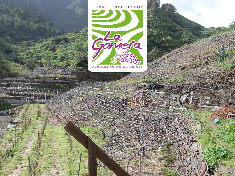Presentación de la Cosecha 2018 del los Vinos de la DOP La Gomera