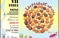 VII Feria de Papas Antiguas de Canarias, 28 de septiembre de 2019 en La Corona, Icod el Alto, Los Realejos