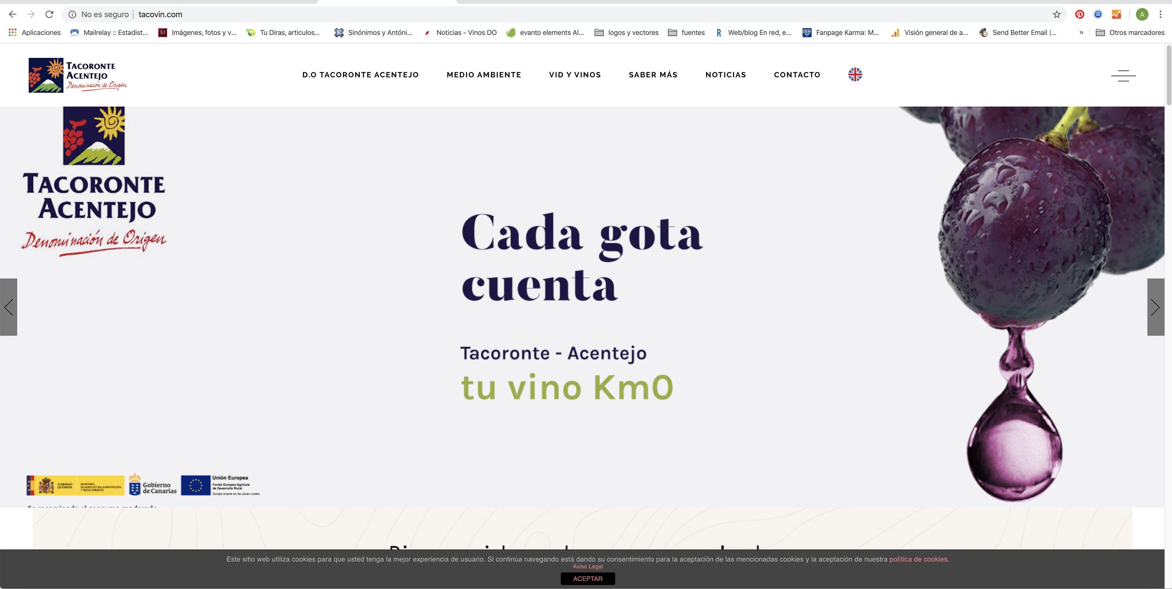 Tacoronte-Acentejo renueva su página web
