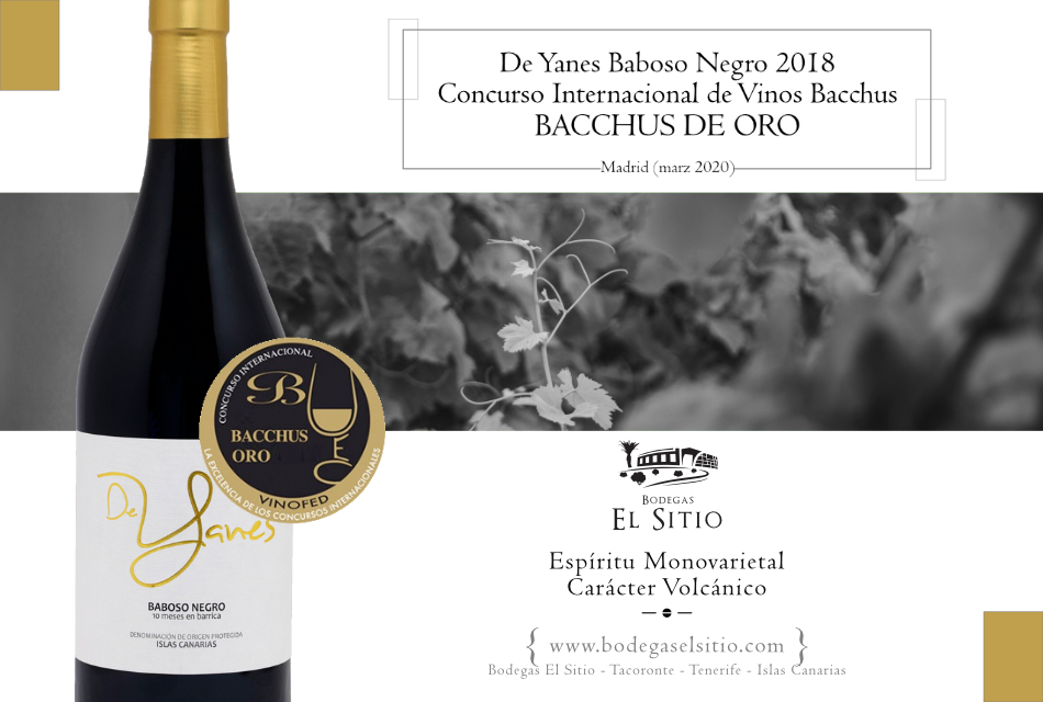 De Yanes Baboso Negro 2018, premiado con el Bacchus de Oro en el XVIII Concurso Internacional de Vinos Bacchus 2020