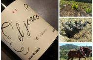 El Jorco, vino de muy limitada producción, novedad en la Vinoteca El Gusto por el Vino