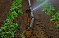 El Gobierno canario concede 8 millones en ayudas para abaratar el agua de uso agrícola