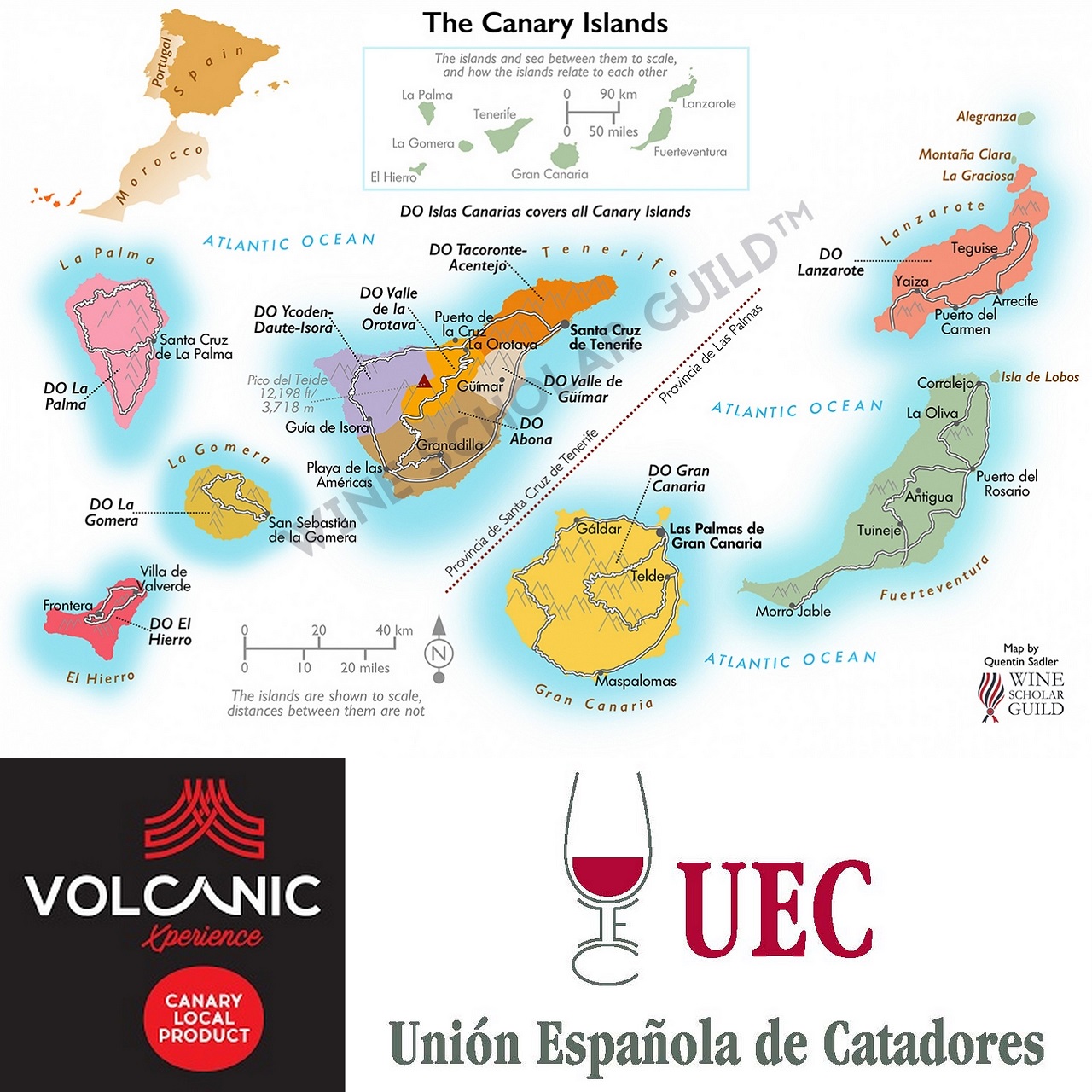 CANARY WINE ACADEMY,  LA MAYOR PLATAFORMA DE CONOCIMIENTO DE LOS VINOS CANARIOS