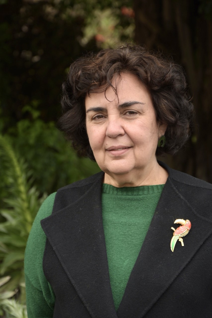 María del Carmen Jaizme, nueva directora científica del ICIA