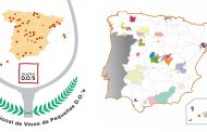 Abierta la inscripción para la 5ª edición del Concurso Nacional de Vinos de Pequeñas D.O.’s, con condiciones especiales para las bodegas de Canarias